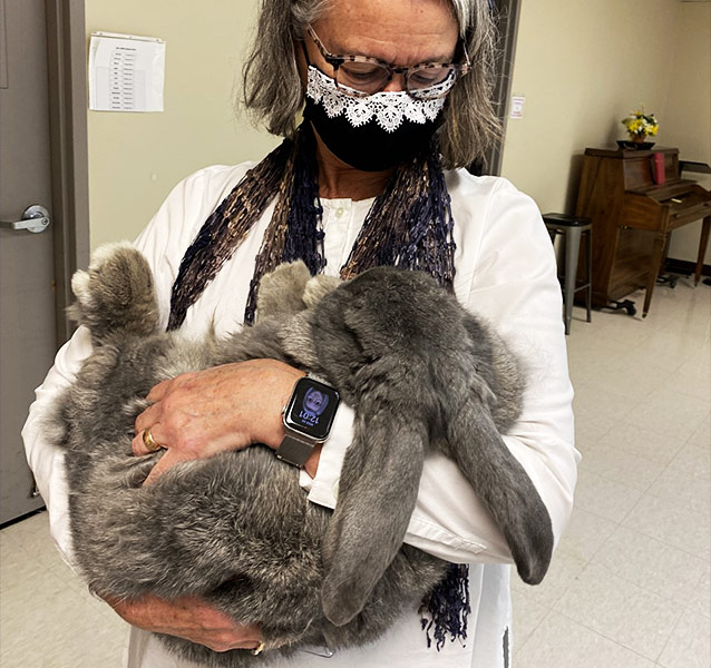 MRC therapy bunny