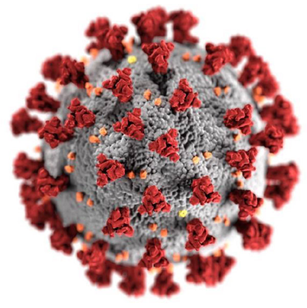 illustration of Covid-19 virus