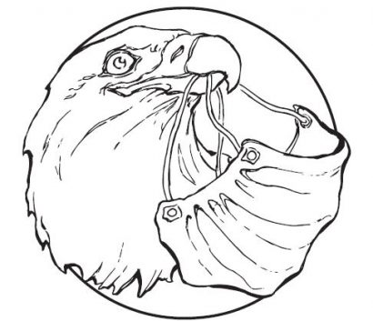 Image of Mr. Eagle holding a mask in his beak