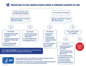 Traveling to the United States From a Foreign Country by Air Infographic