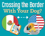 crossing the border with dog image