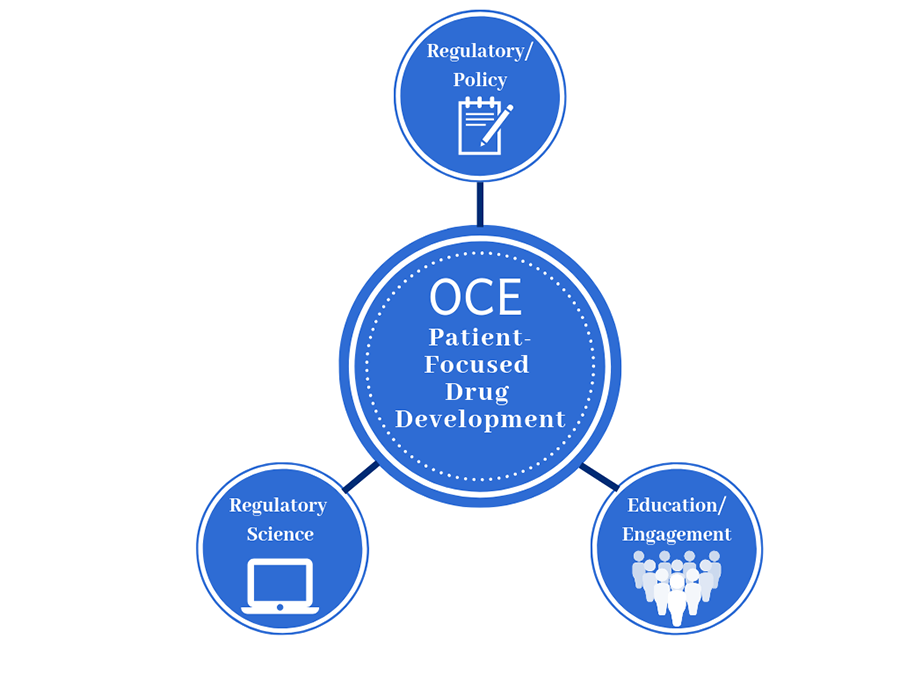 Image displays a large circle in the center representing the OCE Patient-Focused Drug Development Program connected with lines to three smaller circles representing Regulatory Policy, Regulatory Science, and Education and Engagement