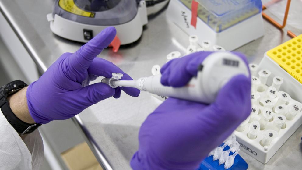 In a lab, an FDA employee draws liquid out of a test tube using an electronic pipette