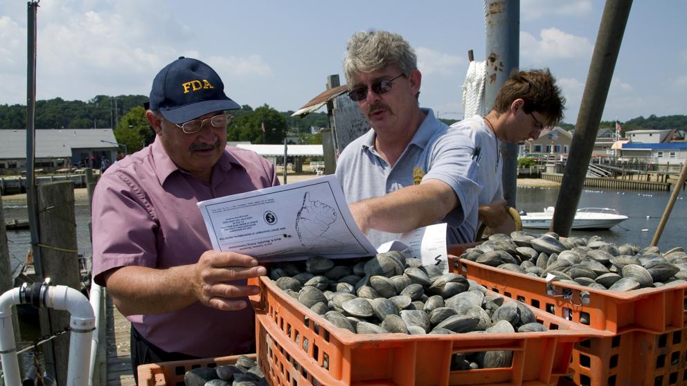 An FDA shellfish specialist (left) and a New Jersey state inspector look at a map of the waters where the clams in the foreground were harvested.