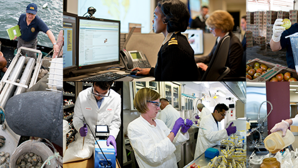 Collage of crisis management activities including safety inspectors, scientists in labs, and communication staff