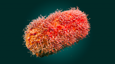 Image of Monkeypox virus