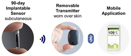 Diagram. 90-day implantable sensor (subcutaneous) uses WiFi to link to the removable transmitter (worn over skin) which uses bluetooth to link to mobile application.