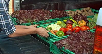 close-up image of a person loading trays of fresh vegetables on a bed of a pickup truck