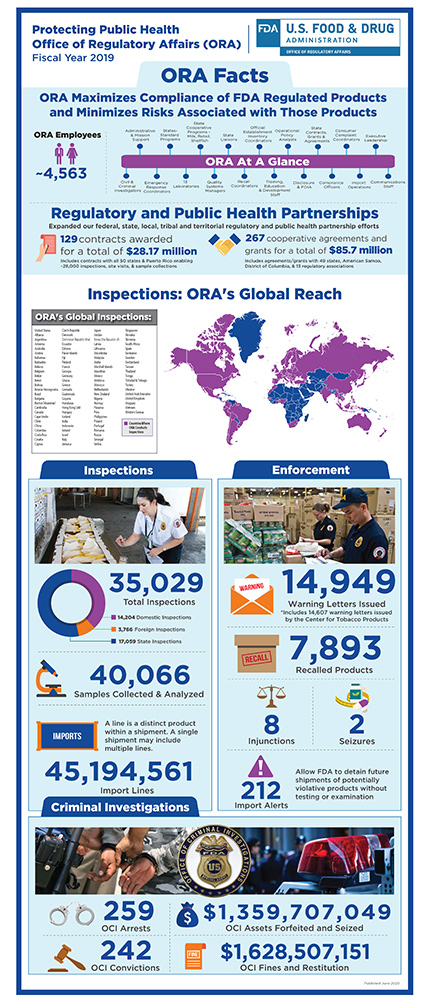 Fiscal Year 2019 (English)