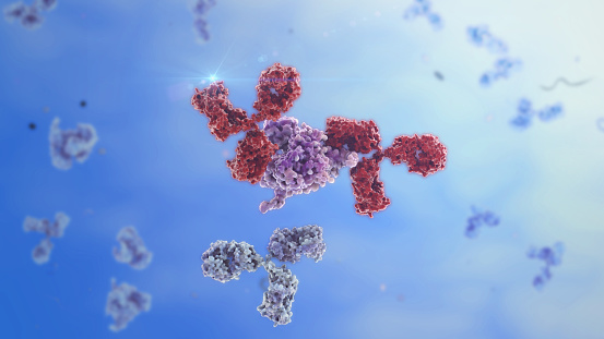 Structure of an antibody interaction with a protein