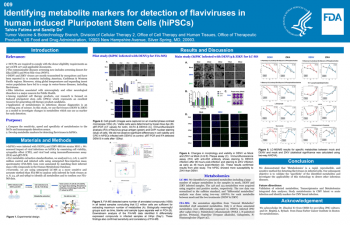 Poster Image - Identifying metabolite markers for detection of flaviviruses in human induced Pluripotent Stem Cells (hiPSCs)