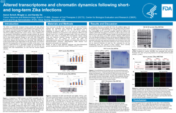 Poster - Altered transcriptome and chromatin dynamics following short-and long-term Zika infections