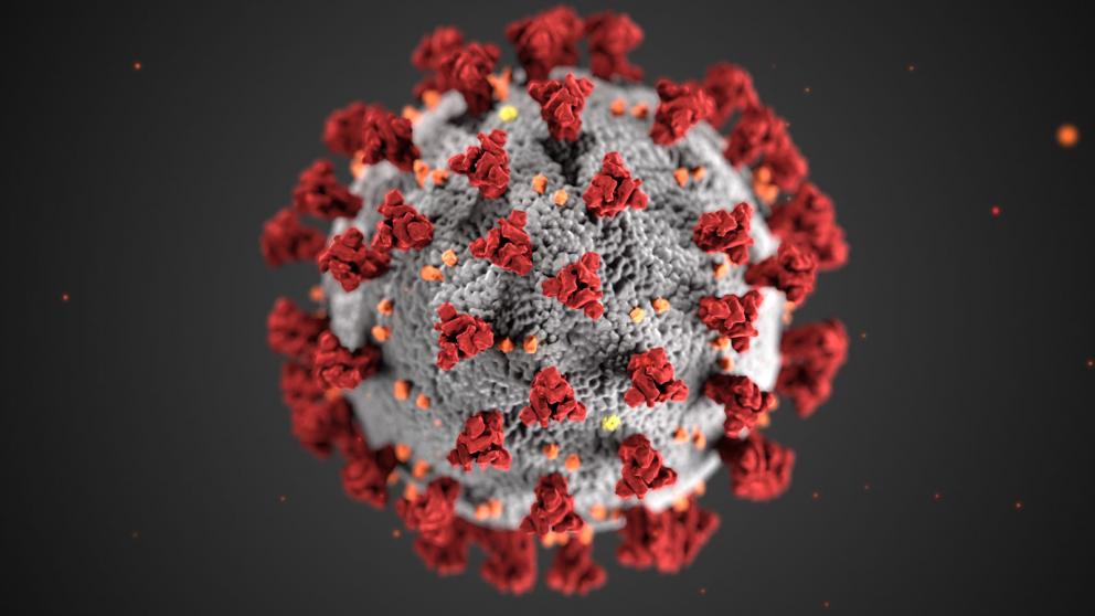 Image of Covid virus