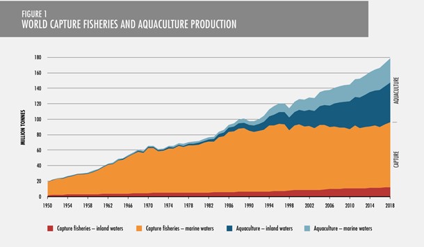 Rapid growth in aquaculture production compared to wild-caught fisheries (Food and Agriculture Organization, State of the World Fisheries, 2020)
