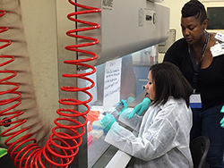 An instructor assists a participant conducting a simulated BSL-2 lab exercise during the 2015 data quality course