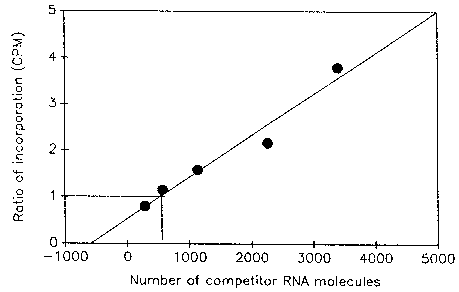Graph showing quantitation of viral RNA molecules in a crude virus preparation by competitive PCR.