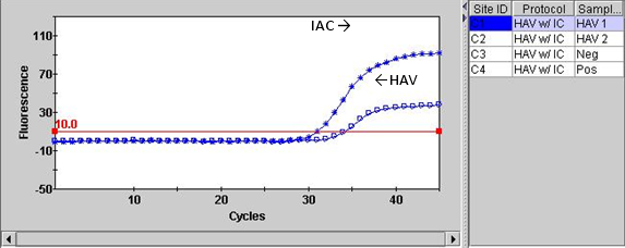 Figure 1B: Display of the graphical view of the ICA (internal amplification