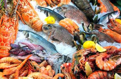 Resources on Seafood