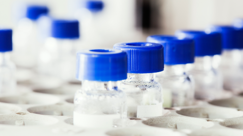 Image of vaccine viles in their storage tray.