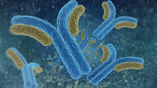 picture of antibodies from serology test