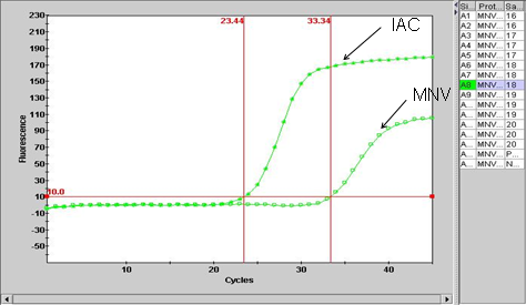 Figure 3: A graphical view for the two channels for MNV (Murine norovirus) and