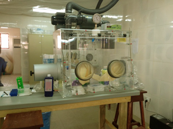 Isolation glove box in the INMI Goderich Lab, Freetown, Sierra Leone (Credit: INMI)