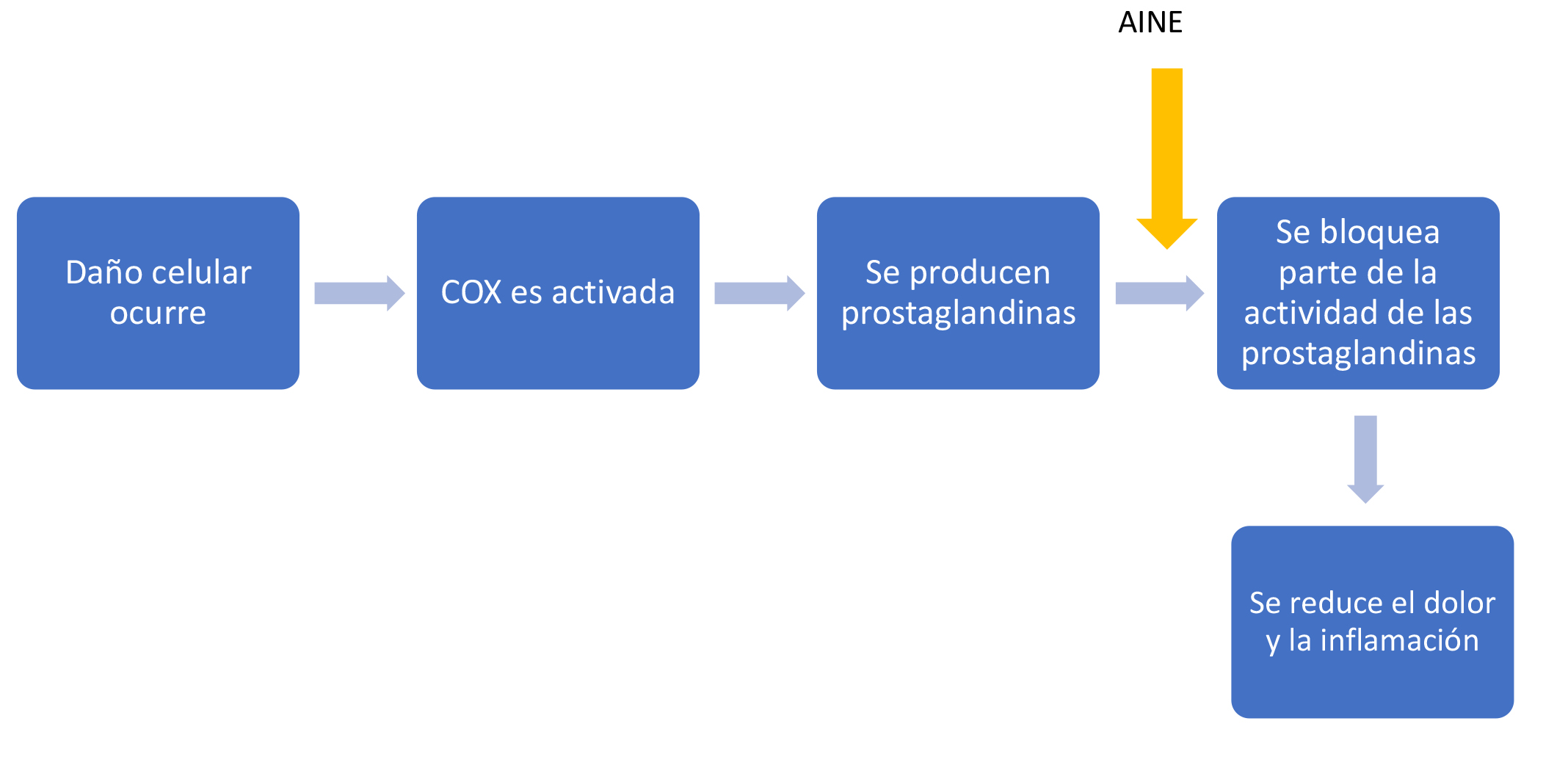 Esquema mostrando que otros AINEs trabajan bloqueando alguna de la actividad de ciertas prostaglandinas. Ocurre el daño celular -> La enzima COX es activada -> La célula dañada produce prostaglandinas -> AINE bloquea alguna de la actividad de las prostaglandinas -> Se reduce el dolor y la inflamación.