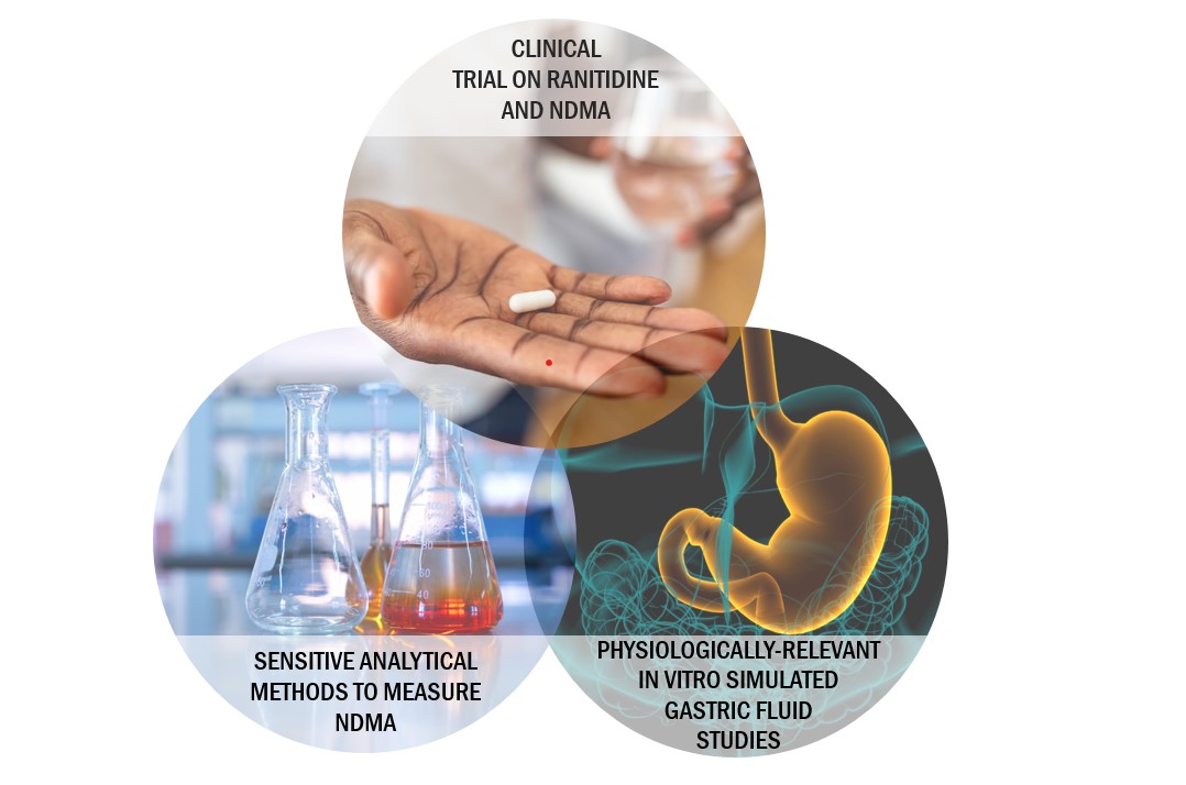 To inform science-based regulatory decisions, CDER scientists employed a multidisciplinary, translational research approach to investigate whether ranitidine converts to NDMA in humans. 