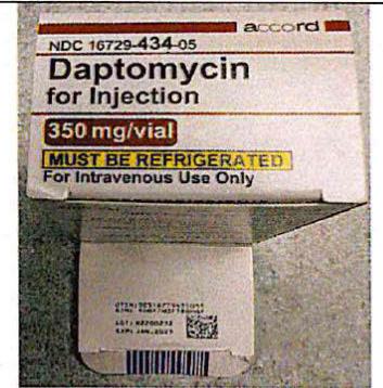 Image 1 – Carton Daptomycin for Injection 350 mg/vial