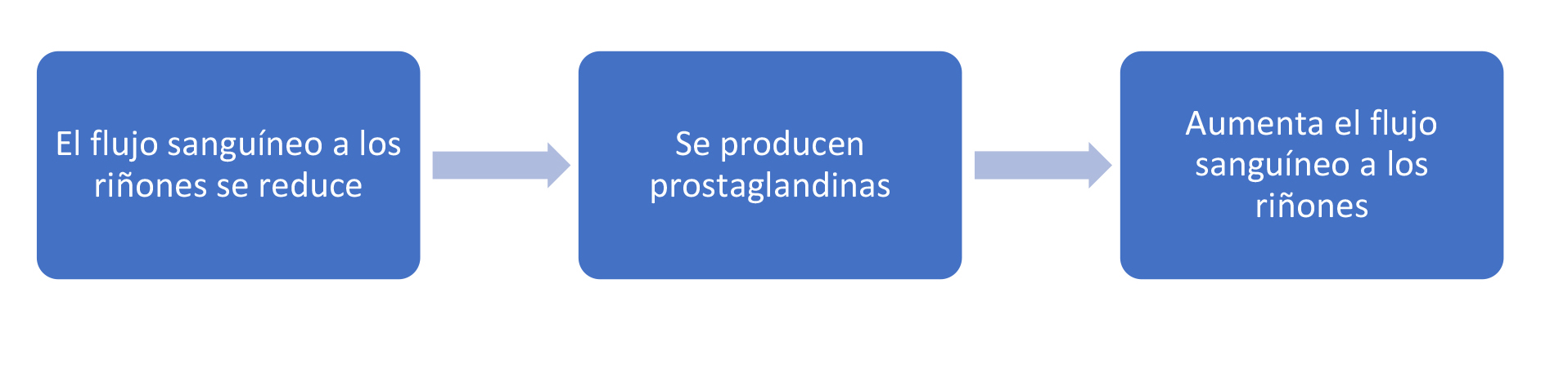 Esquema mostrando como las prostaglandinas aumentan el flujo sanguíneo a los riñones. El flujo sanguíneo a los riñones se reduce -> Se producen prostaglandinas -> Aumenta el flujo sanguíneo a los riñones.