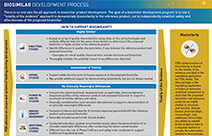 Biosimilar Development Process