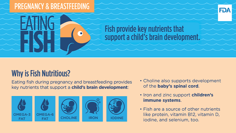 Slides on Eating Fish for Pregnancy and Breastfeeding Image