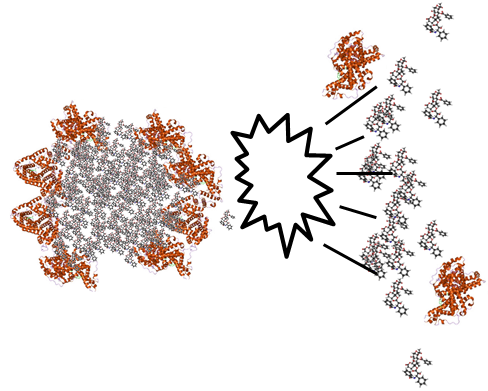 Figure 5 (Petrochenko, et al., AAPS 2016).