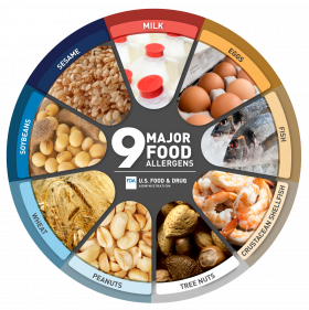 Circle collage image of the 9 major food allergens. Images representing, milk, eggs, fish, crustacean shellfish, tree nuts, peanuts, wheat, soybeans, and sesame.