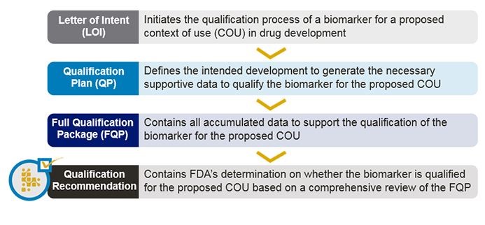 LOI, QP, FQP, Qualification Recommendation