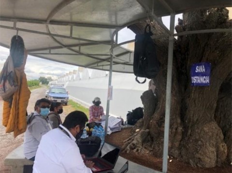 FDA makes use of makeshift outdoor office when performing produce inspections 