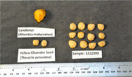 Comparación de semillas de la Marca Nut Diet Max