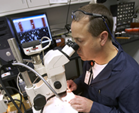 Photo of researcher