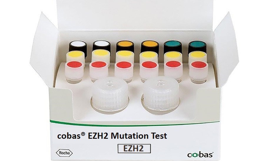 Picture of an open box of the cobas® EZH2 Mutation Test