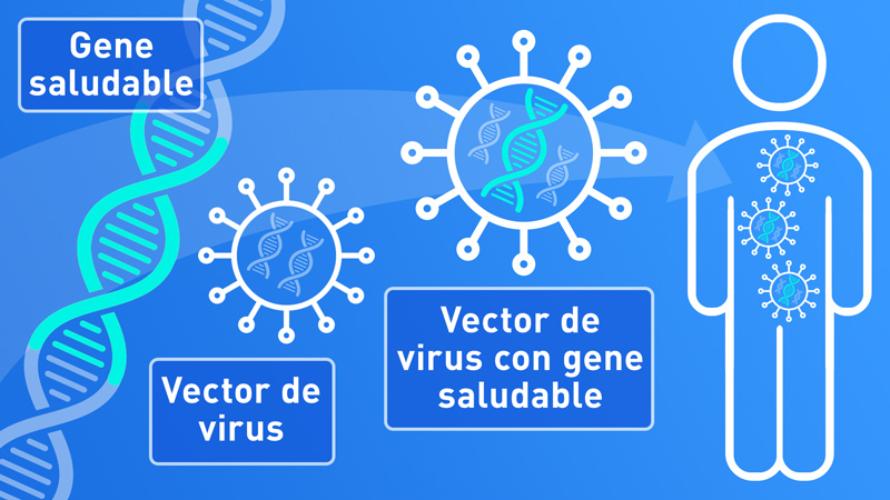 How Gene Therapy Works