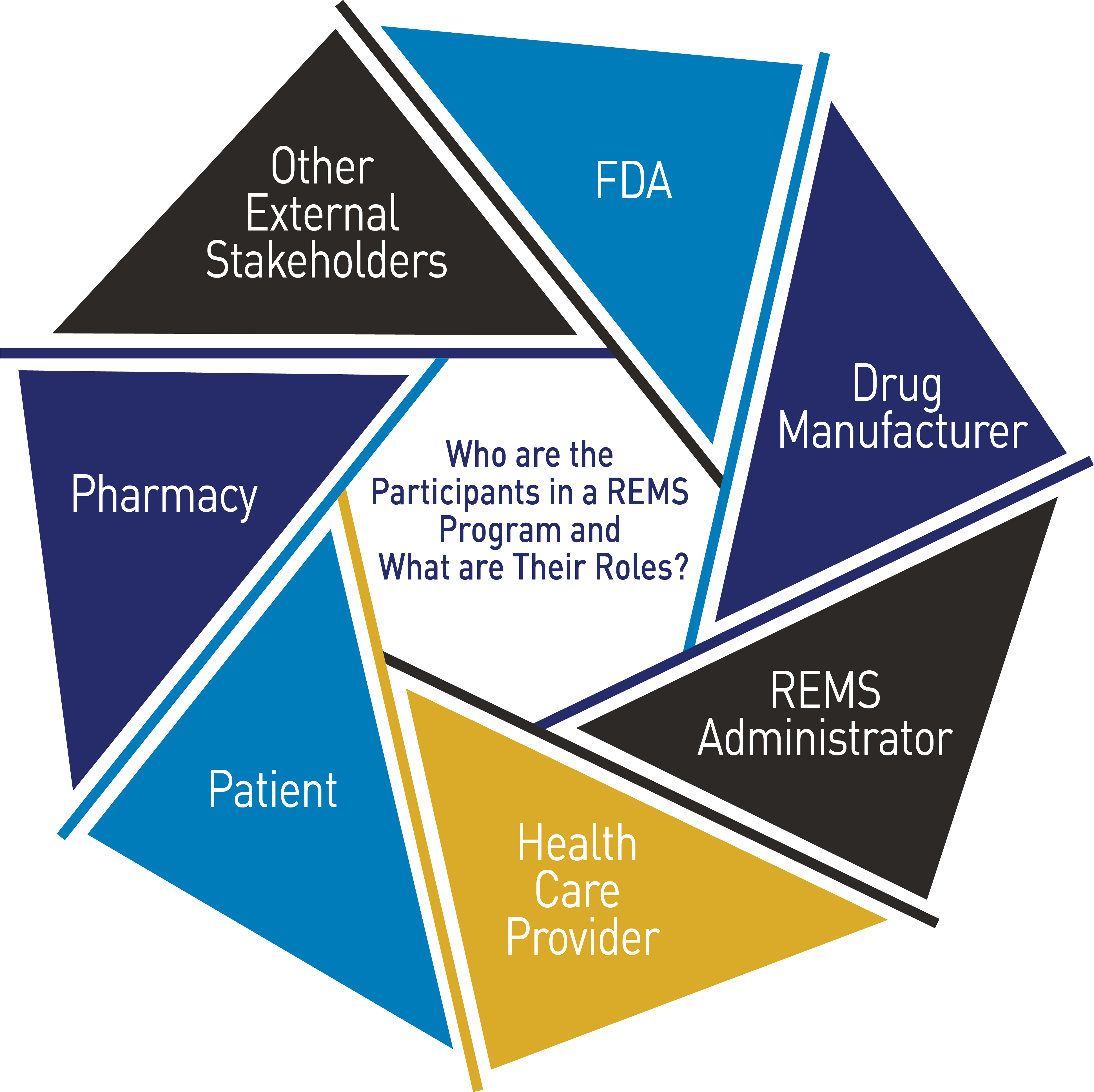 Who are the Participants in a REMS Program and What are Their Roles?