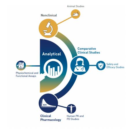 Analytical studies are the foundation of biosimilar development. Data also come from a variety of clinical and nonclinical studies.