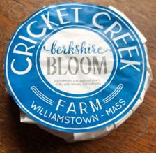 Image 2 - Picture of Cricket Creek Berkshire Bloom