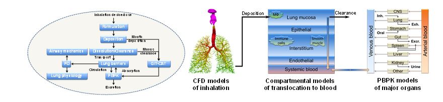Figure 2. Integrated computational framework for pulmonary drug delivery and PBPK-PD simulation [Figures are courtesy of CFD Research Corporation]