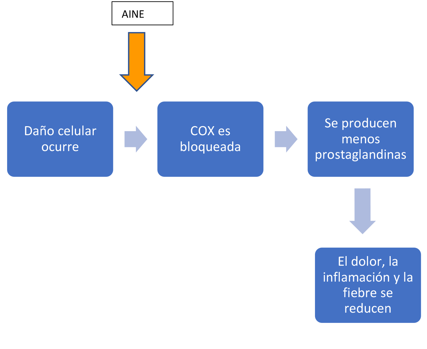 Esquema mostrando que muchos AINEs trabajan bloqueando COX. Ocurre el daño celular -> AINE bloquea la enzima COX -> La célula dañada produce menos prostaglandinas -> Se reduce el dolor, la inflamación y la fiebre.