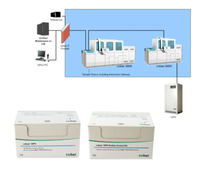 Image of cobas HPV for use on the cobas 6800/8800 Systems