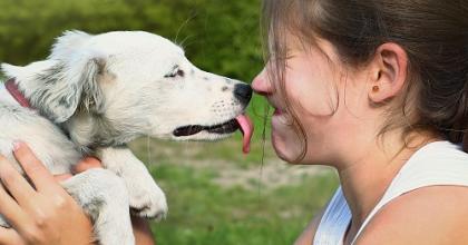 dog licking a child