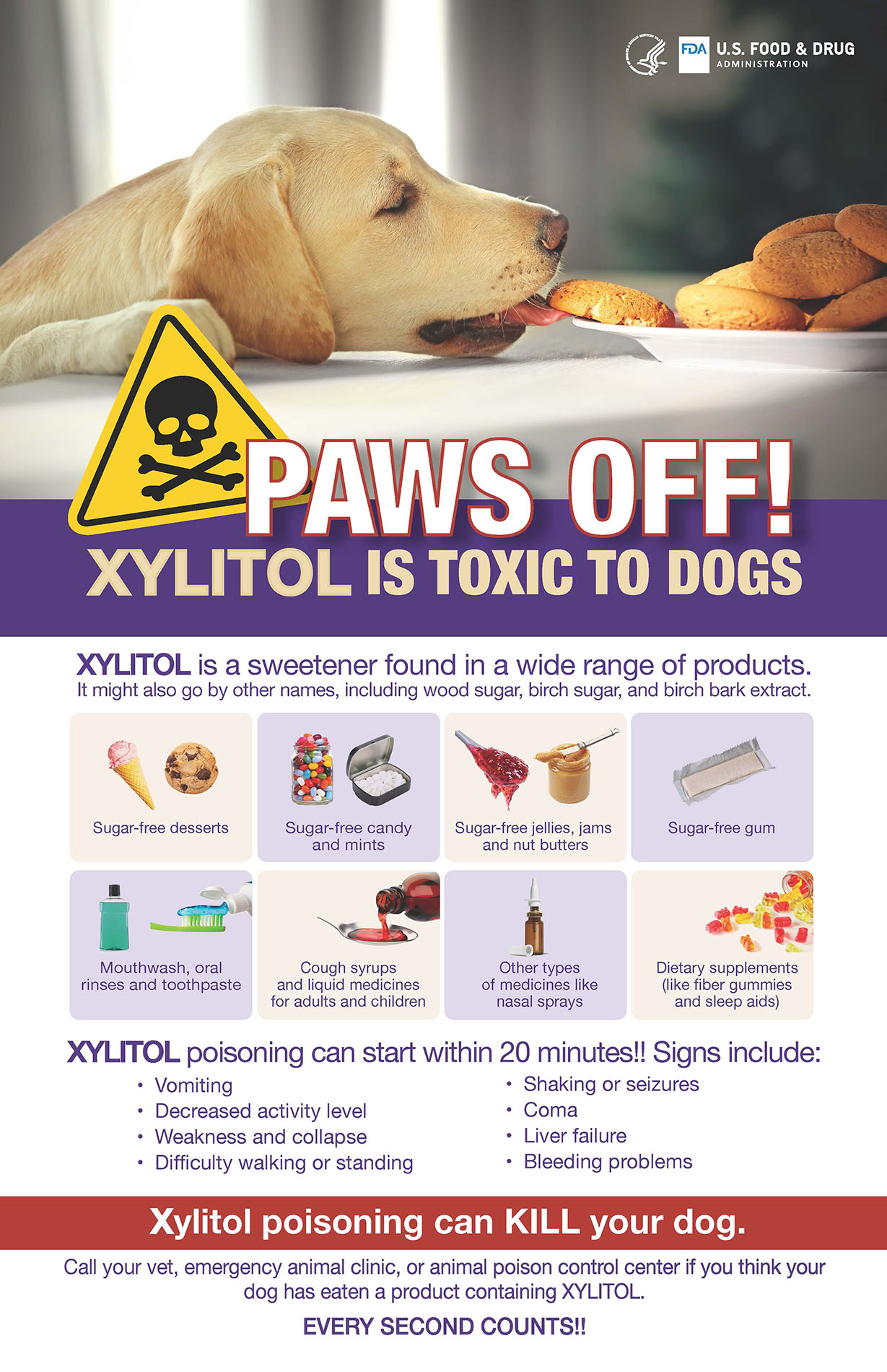 PAWS OFF - Xylitol is Toxic to Dogs poster