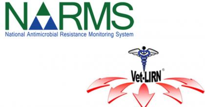 National Antimicrobial Monitoring System (NARMS) and Veterinary Laboratory Investigation and Response Network (Vet-LIRN) programs