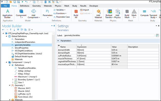 Screenshot of Global Definitions - Geometry Variables